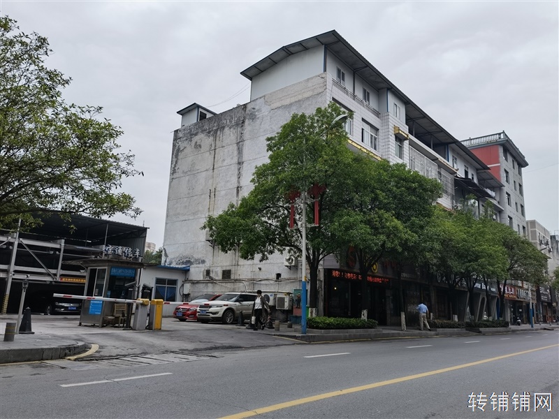 沿江路临江临街江景房独栋出租（可分租）